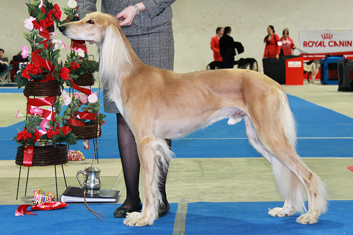 Sunfire Ghaliya & Aziz Karim