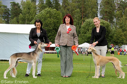 Sunfire Harigat & Aziz Leilah