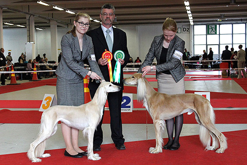 Aziz Fazel & Aziz Karim