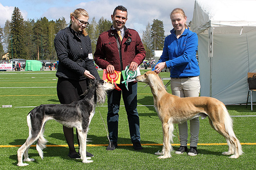 Aziz Kalila & Aziz Karim