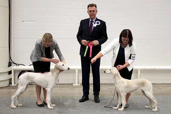 Aziz Peyton & Aziz Palmira