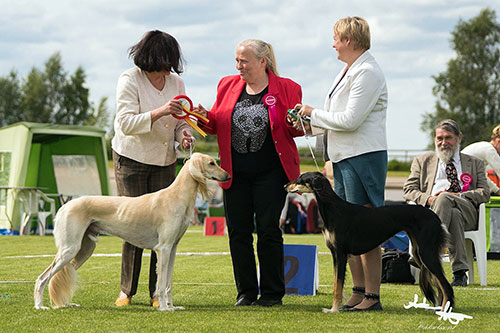 Aziz Mohsen & Desierto Belleza Hyperborea Divina