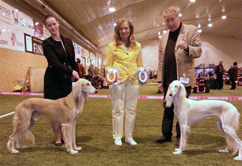 Al Wathba Bahram Al Nadir & Aziz Kohinoor