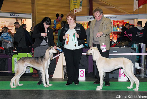 Sunfire Harigat & Aziz Kohinoor