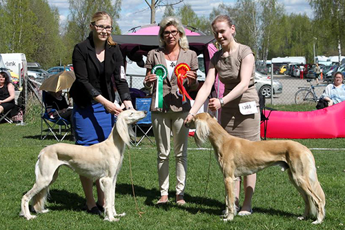 Aziz Fazel & Aziz Pacifico