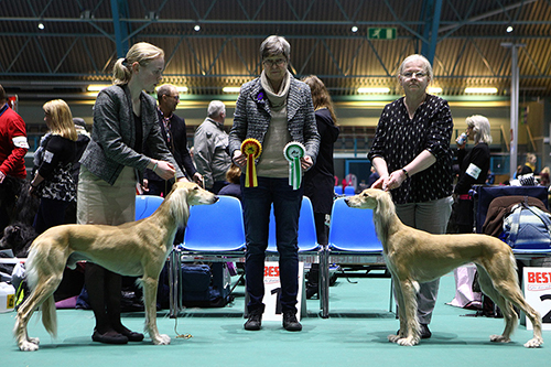 Aziz Pacifico & Aziz Leilah