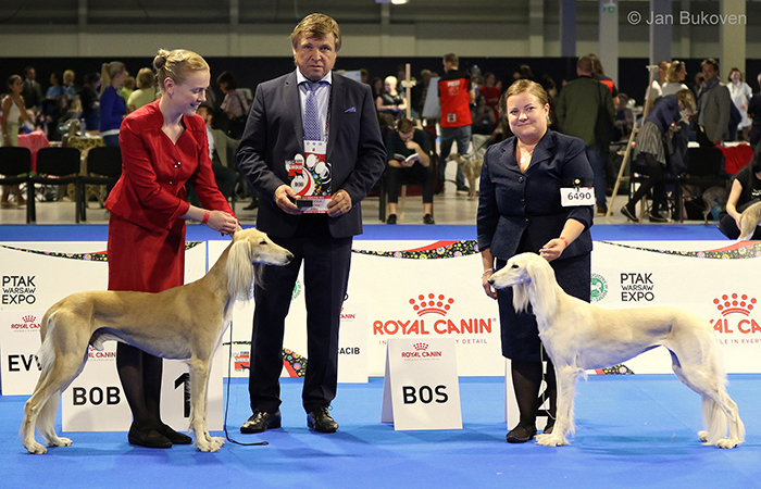 Aziz Pacifico & Aziz Palmira