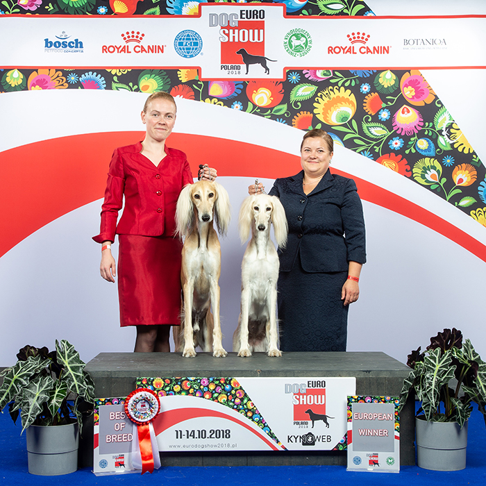 Aziz Pacifico & Aziz Palmira