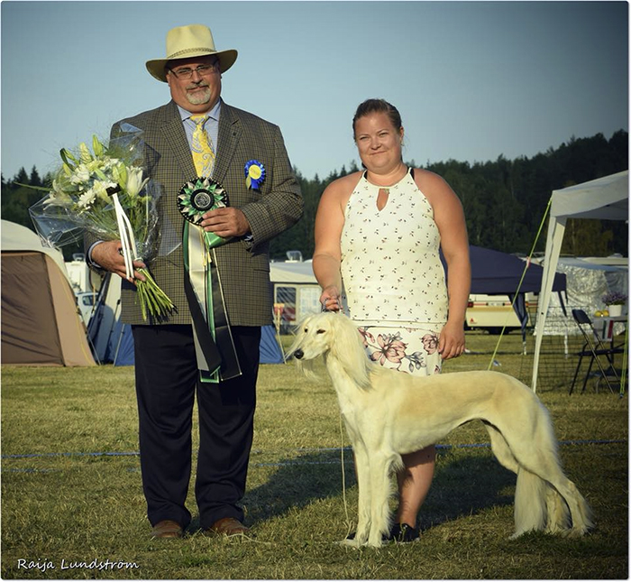 Qirmizi Quinnton & Aziz Palmira