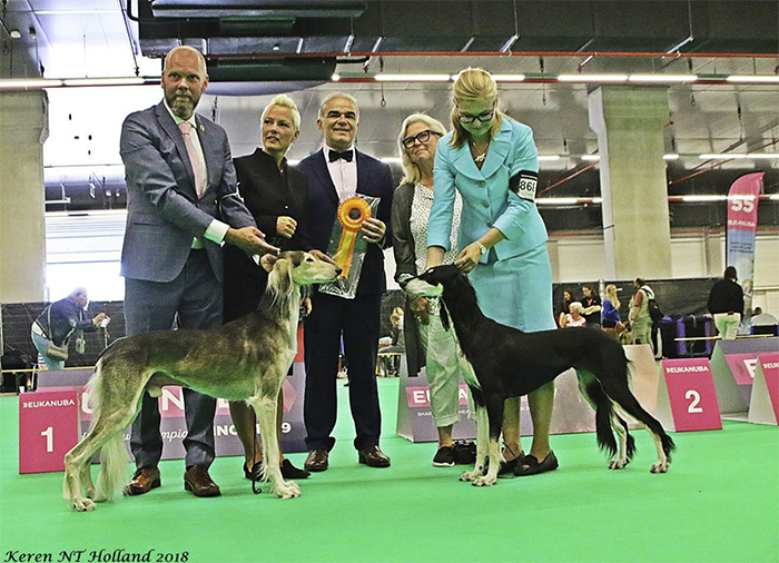 Qirmizi Ovation & Aziz Qismah