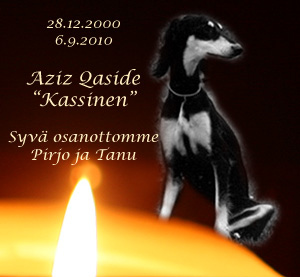 Aziz Qaside