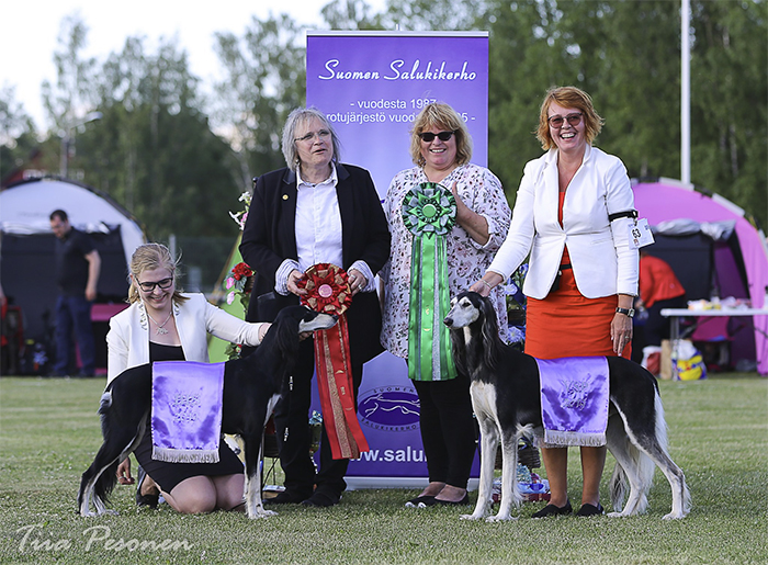 Aziz Rayna & Elamir Classic Souvenir