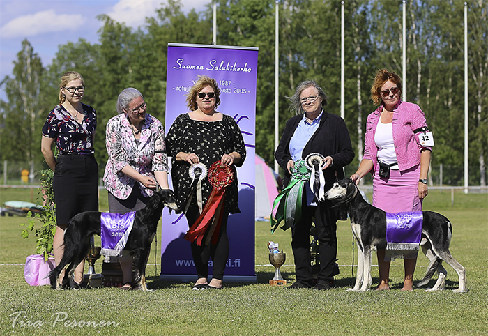 Aziz Rasmi & Elamir Classic Souvenir