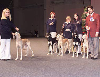 Aziz Divinus's Progeny Group
