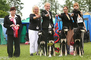 Aziz Breeder of the Year (Xanom, Shalil, Qadim, Uzziah)