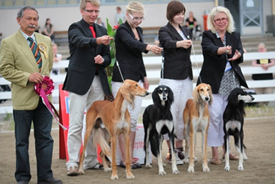 Aziz Breeder of the Year (Chakad, Ehsan, Cane Zadan, Xanom)