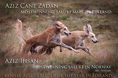 Aziz Cane Zadan